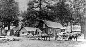 The Bear Valley Hotel in 1889. - Rick Keppler Collection.